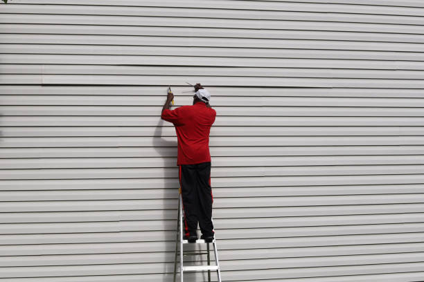 Best Steel Siding Installation  in , MN